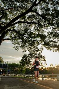 BIB: 
                            <button type="button" onclick="openModal(26555209)" class="btn btn-primary btn-sm float-right btn-popup" data-toggle="modal" data-target=".modal-high-quality">
                        <i class="fas fa-shopping-cart"></i> Add to Cart
                    </button>
                                            <button type="button" onclick="isThisMe(26555209, true)" class="btn btn-success btn-sm float-right btn-popup btn-isme hidden" data-toggle="tooltip" data-placement="bottom" title="นี่คือรูปของคุณใช่ไหม คลิกที่นี่เพื่อเอาเข้าอัลบั้ม">
                        <i class="fas fa-plus"></i> Add to album
                    </button>
                    <button type="button" onclick="isThisMe(26555209, false)" class="btn btn-warning btn-sm float-right btn-popup btn-isnotme hidden">
                        <i class="fas fa-ban"></i> Remove from album
                    </button>